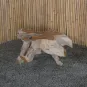 morepic-10